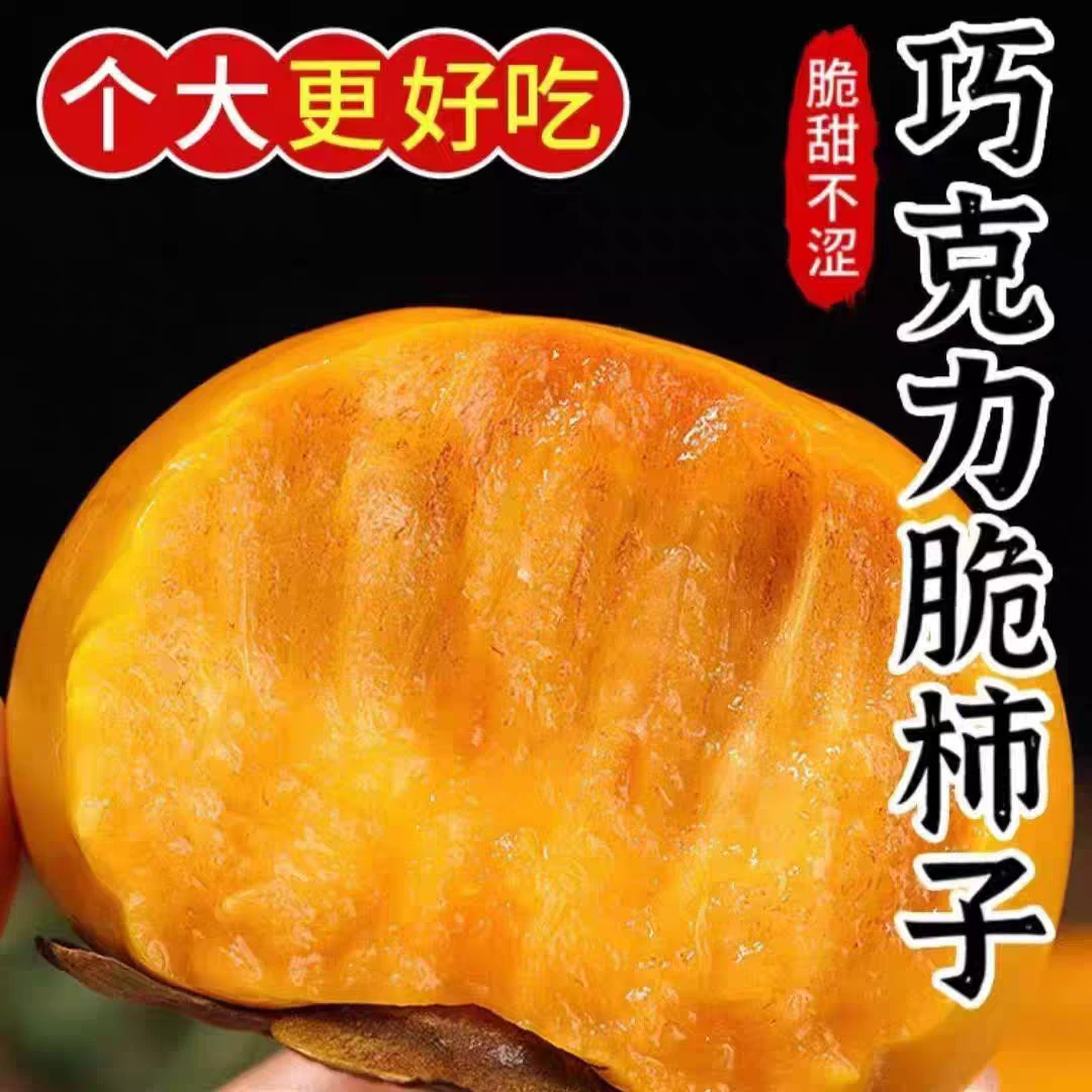 正宗阳丰巧克力冰糖心甜脆柿子当季新鲜水果3/5/8生吃脆甜不涩