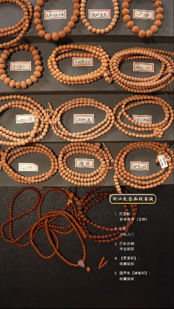 【闪购商品】五线菩提吊坠手串