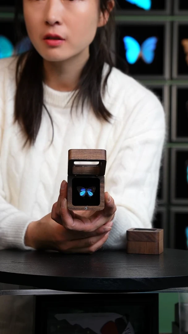 雅灰蝶胡桃木款