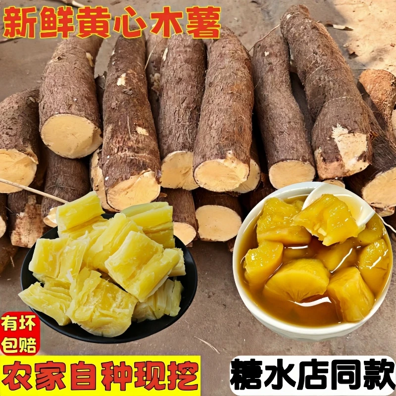 广西黄心木薯糖水店同款木薯新鲜现挖板栗鸡蛋黄面包木薯特产粉糯