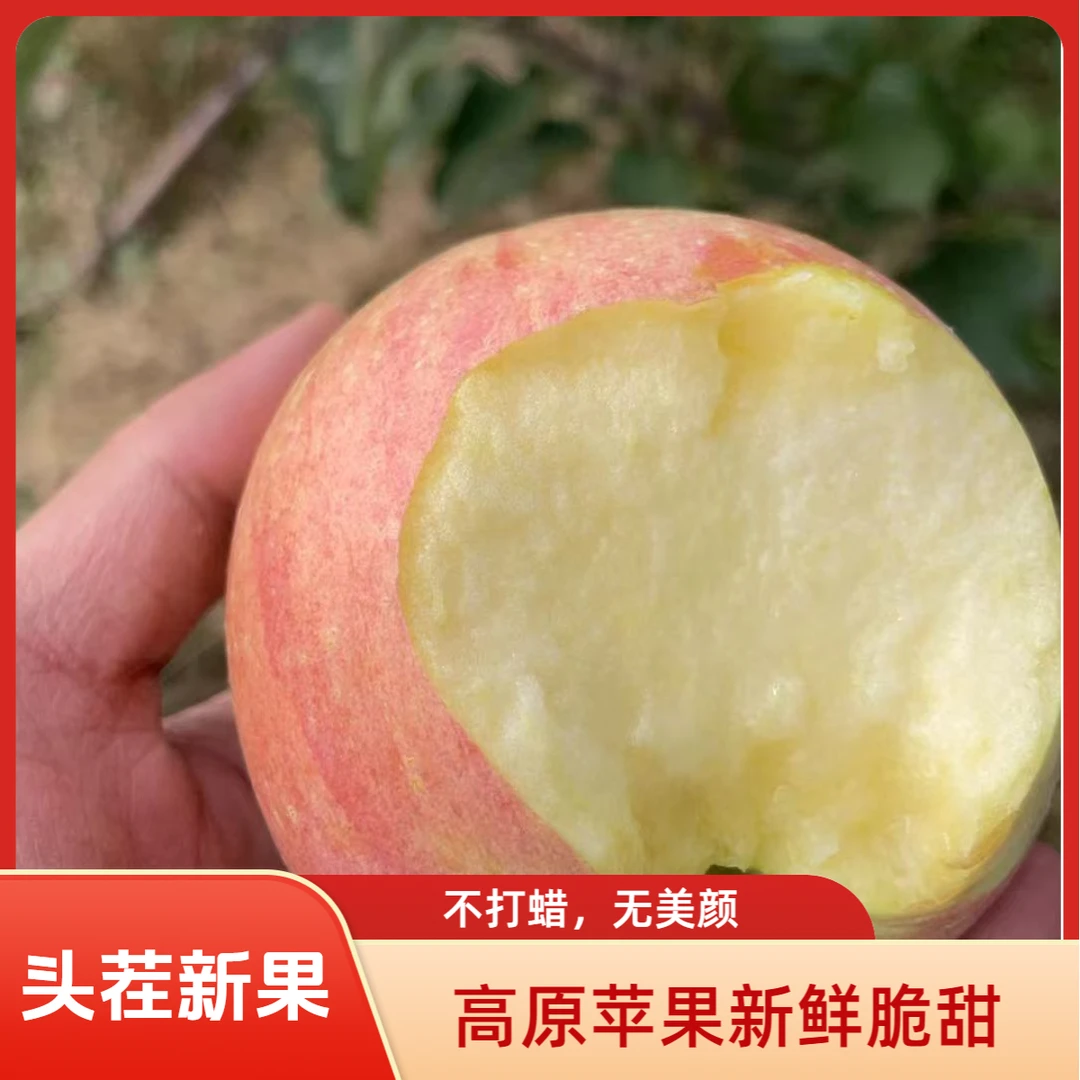 新鲜高原苹果脆甜当季不打蜡自然熟嫩口感好苹果4.5-5斤农产