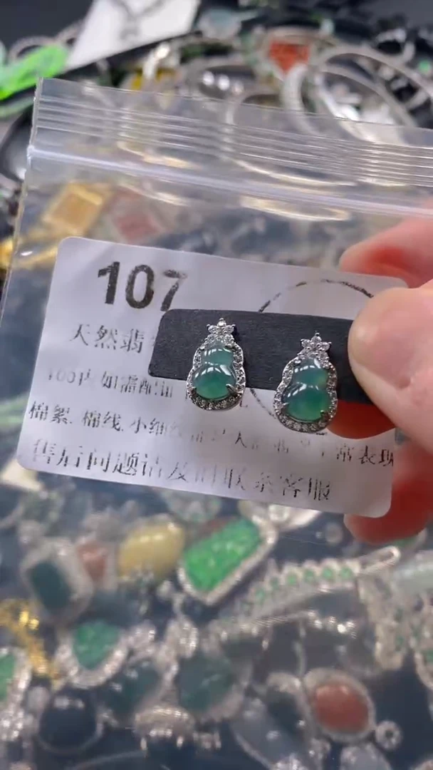 翡翠未镶嵌吊坠(不含链)107.