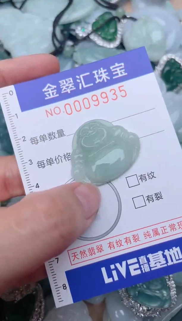 翡翠未镶嵌颈饰9935