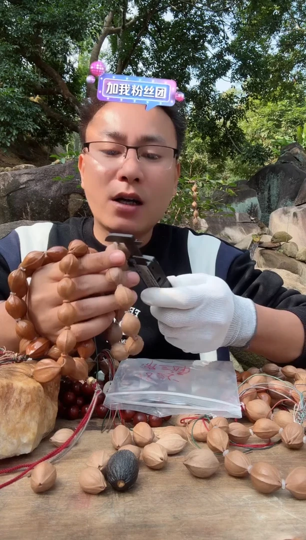 【闪购商品】橄榄核手串1625精三面佛梅林铁核原生态素串880