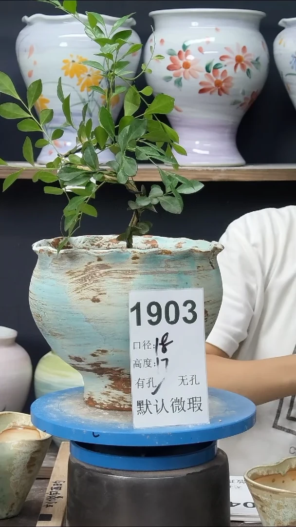 景德镇花盆默认微瑕1903