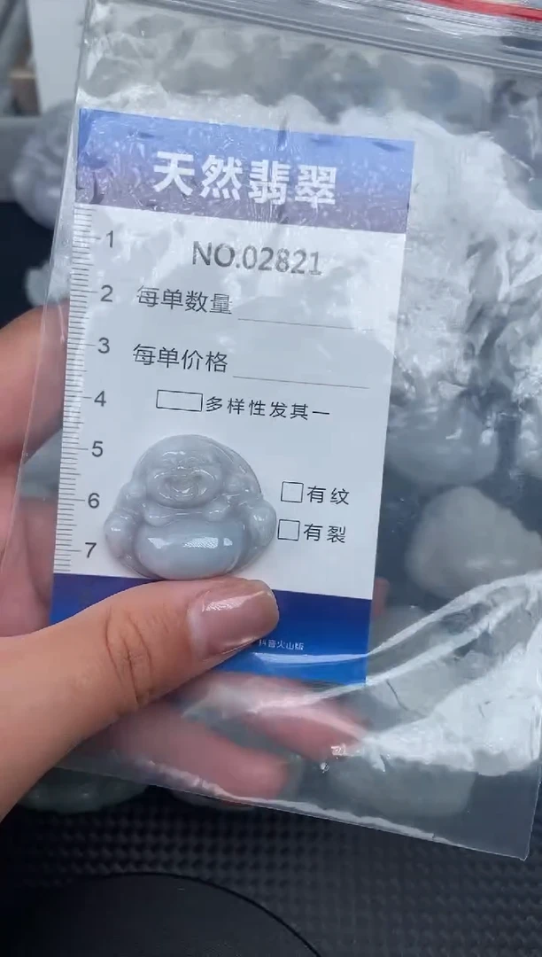 颈饰未镶嵌翡翠纯天然A货翡翠2821