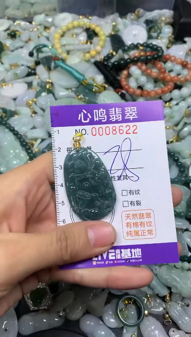 【闪购商品】翡翠颈饰未镶嵌闪购008622