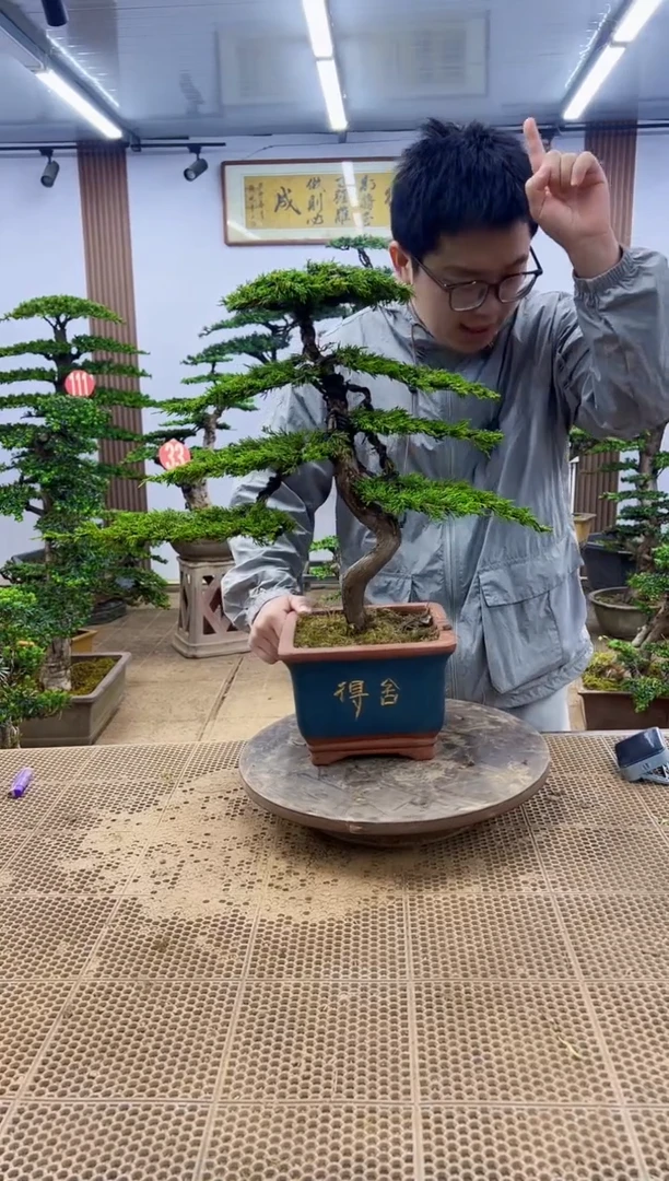 一物一拍，所见即所得