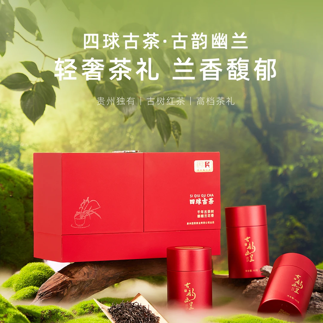 四球古茶·古韵幽兰 | 古树兰香盖碗藏 林间幽遇 古树红茶茶叶礼盒