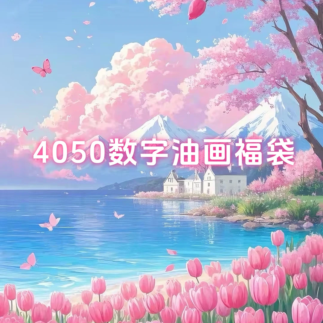 4050数字油画福袋