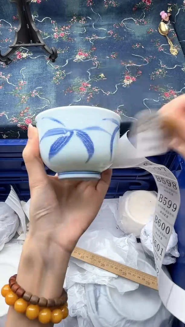 瓷片          B595