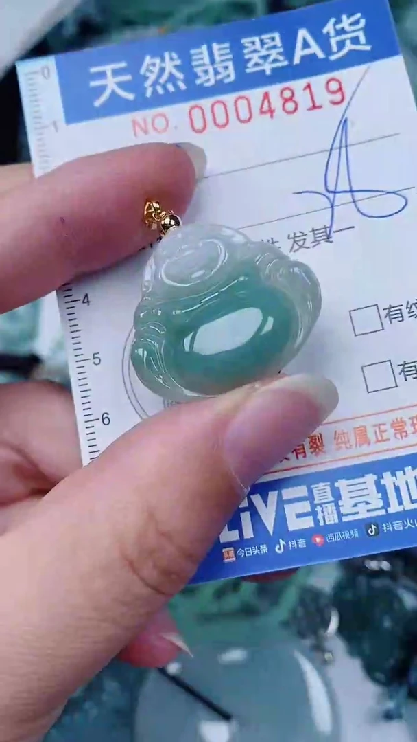 翡翠未镶嵌颈饰00004819