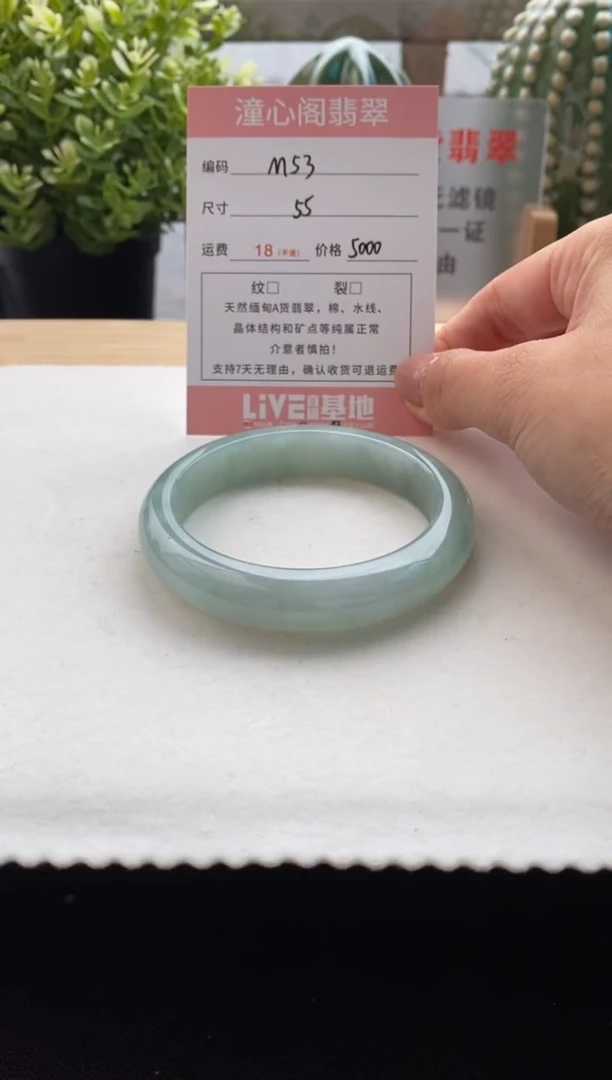 未镶嵌手镯翡翠55.3圈口 编码M53