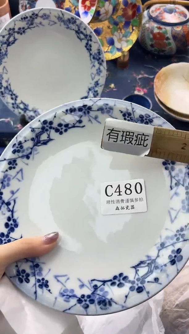 瓷片          C480