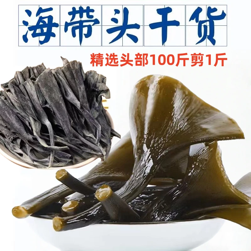 【霞浦海带头】新鲜日晒海带头原产地日晒海带头干日晒淡干海带头