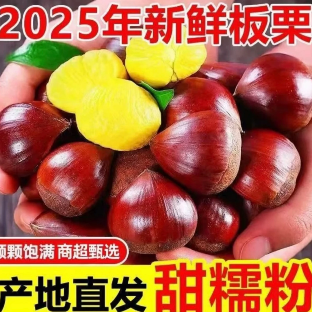 2025年生板栗新鲜农家现摘生栗子5斤装粉糯可口