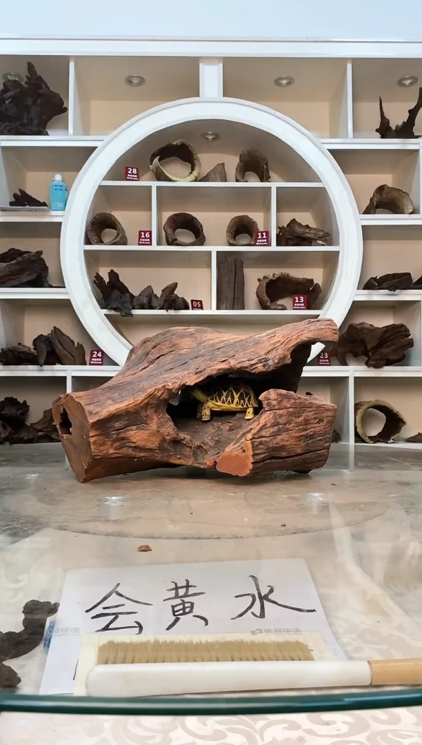 柚木鱼缸造景素材木190