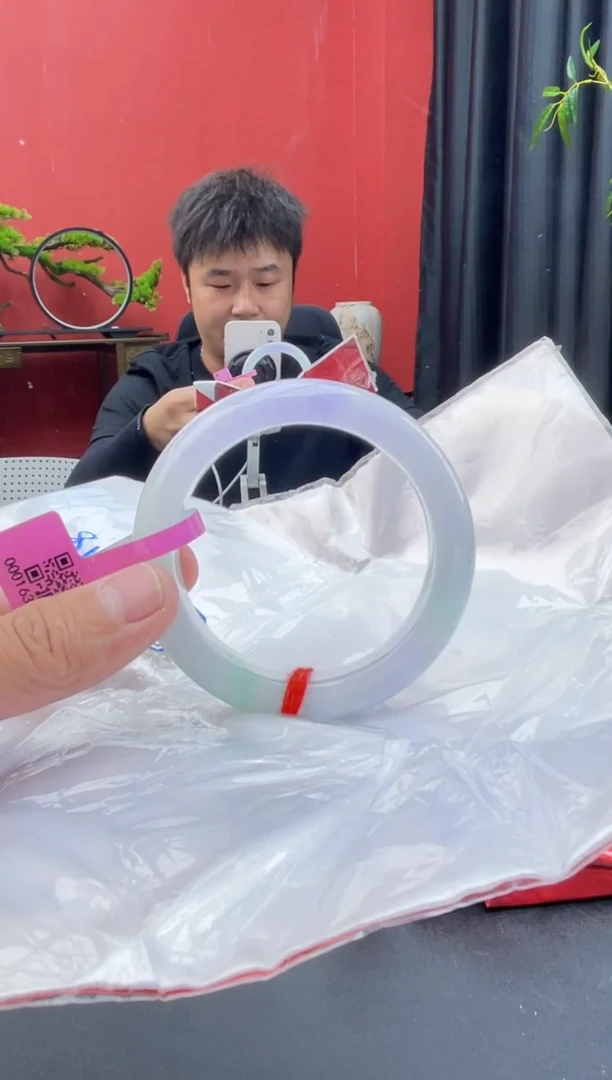 未镶嵌手镯翡翠5