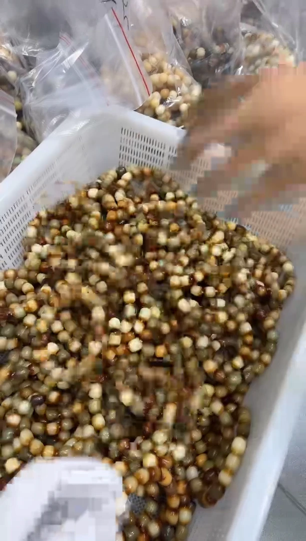 【闪购商品】菩提根/象牙果手串瑕疵2条不挑（101）