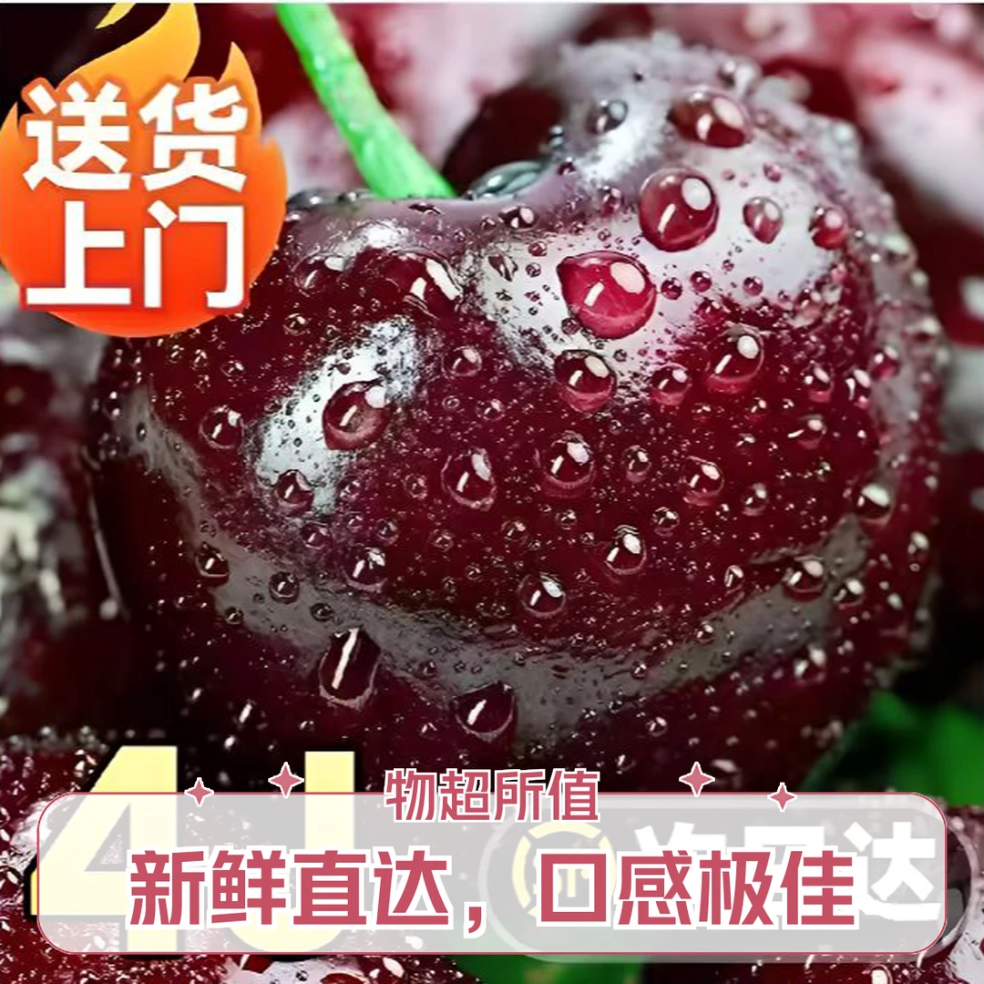 4JD黑车礼盒装【今天拍明天到】5斤原箱智利空运进口车厘子鲜宝宝孕妇水果内附果径卡3J桑提娜樱桃智利共和国