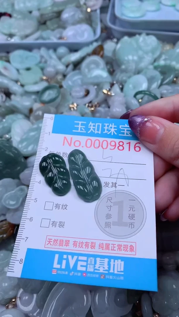 翡翠未镶嵌吊坠(不含链)9816