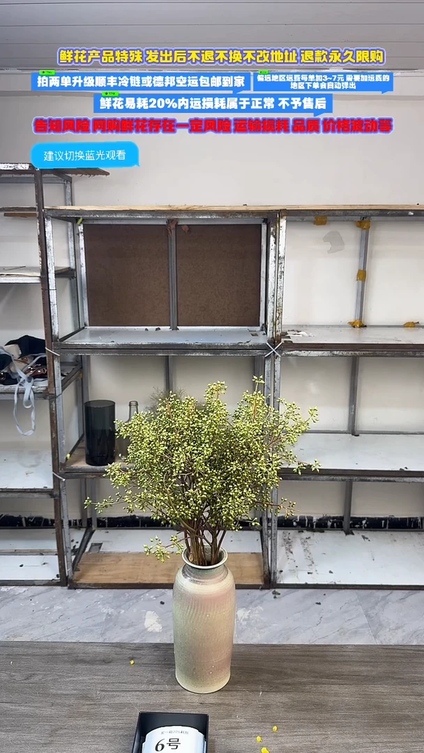 小众花材.限时抢购8