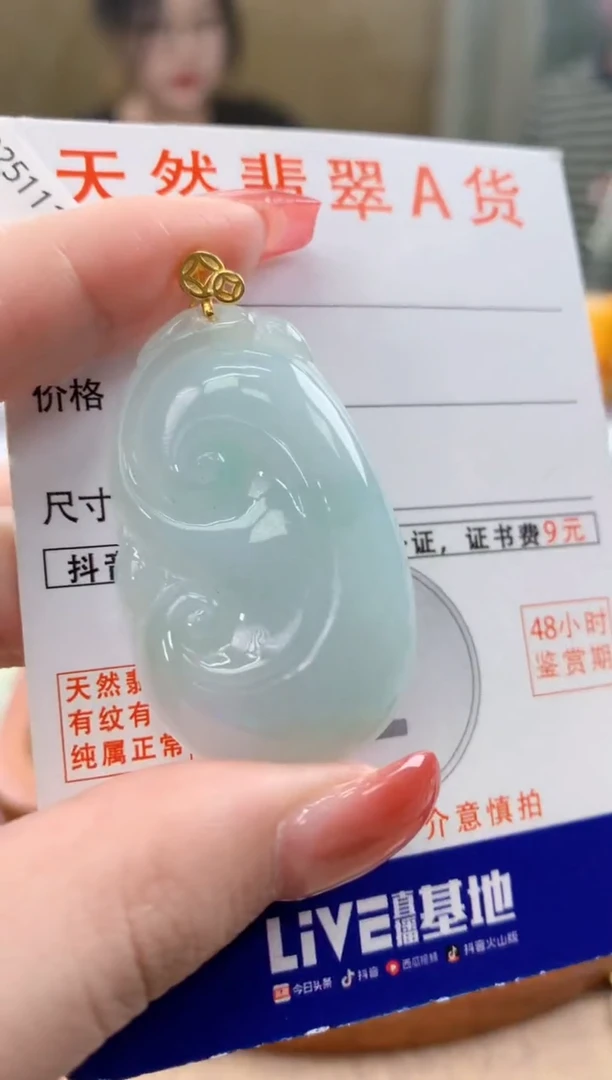 颈饰未镶嵌翡翠天然A货翡翠挂件