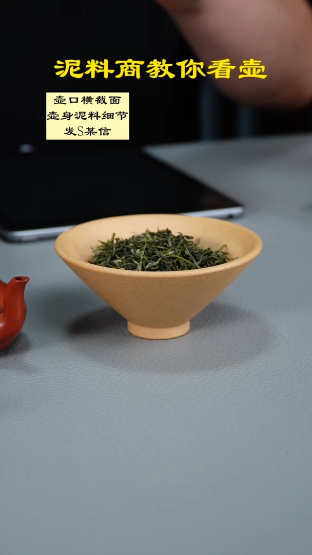 茶壶紫砂阳羡私房毛尖一