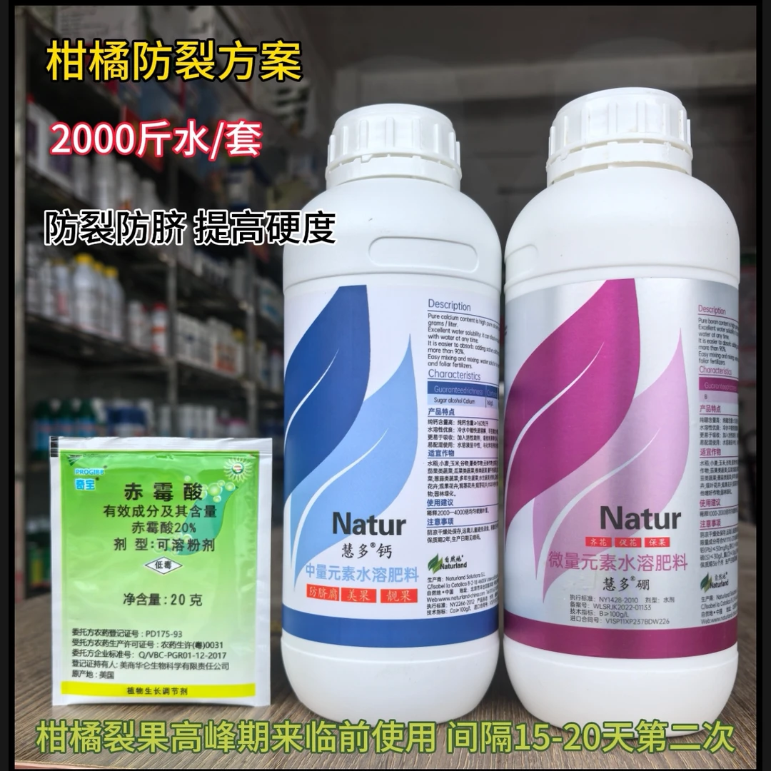 金秋砂糖橘金葵广橘预防裂果脐腐美果靓果套餐