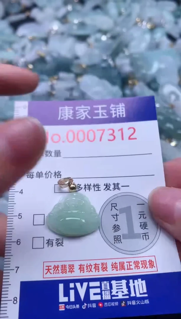 颈饰未镶嵌翡翠7312