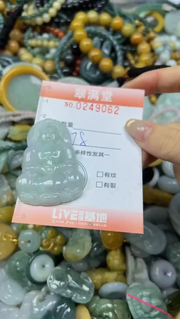 未镶嵌挂件翡翠闪购0249062