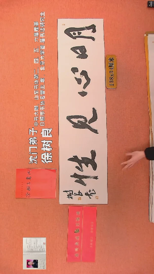 【闪购商品】书法97        徐树良书法作品