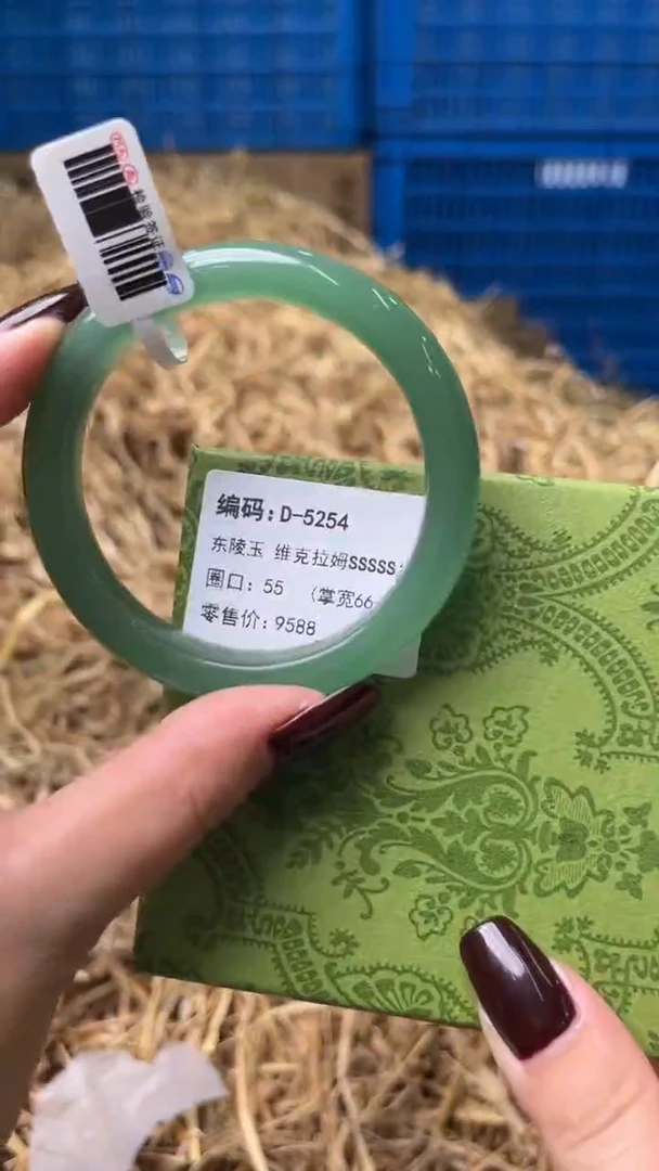 未镶嵌手镯石英质玉D-5254