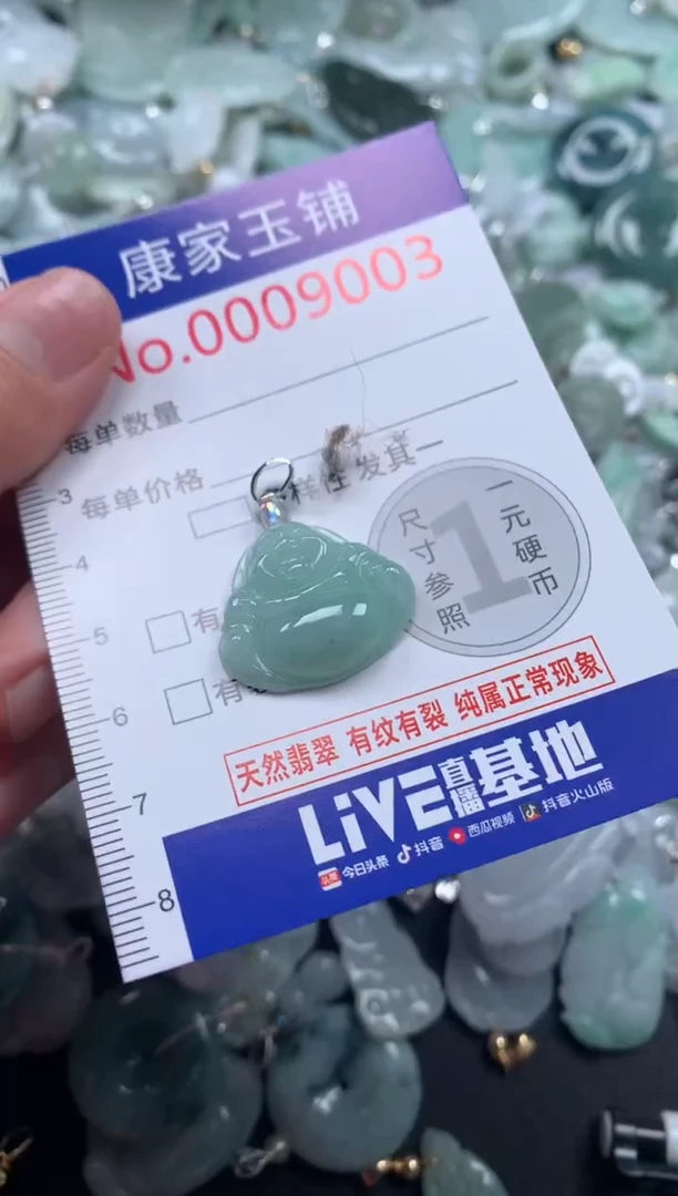 颈饰未镶嵌翡翠9003