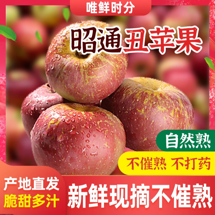唯鲜时分云南昭通高原丑苹果新鲜现摘脆甜多汁冰糖心水果双12