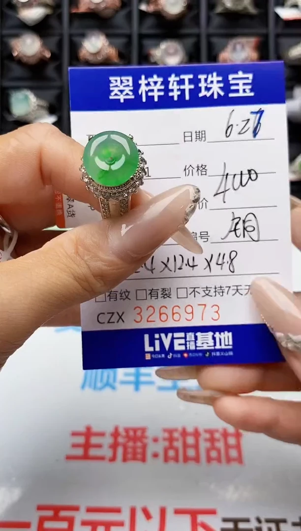 翡翠戒指未镶嵌6973