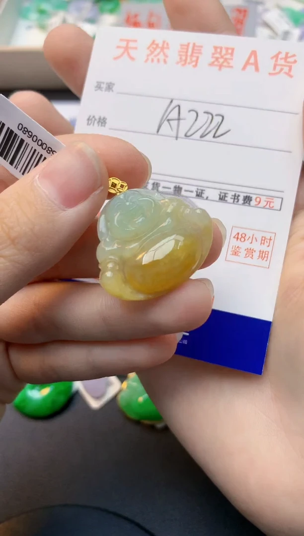 颈饰18K金镶嵌翡翠天然缅甸A货翡翠百元以上9元证书费自理
