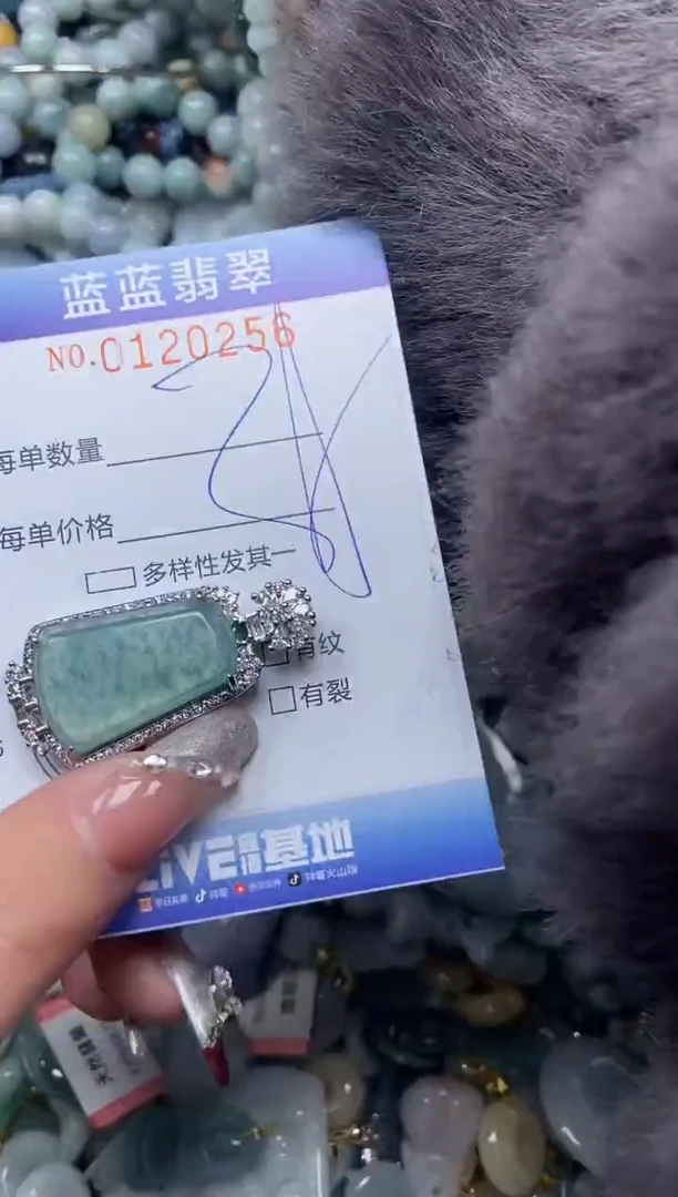 【闪购商品】翡翠颈饰未镶嵌闪购0120256