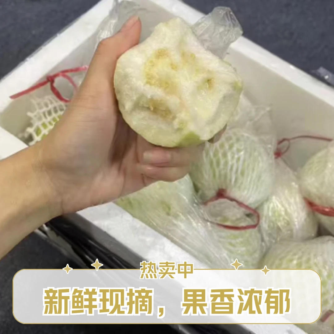自家果园种植广东番石榴白心松脆芭乐香甜新鲜采摘水果芭乐果当天