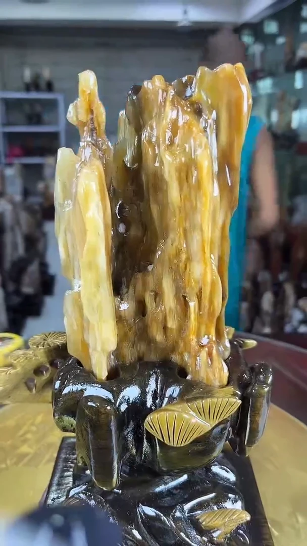 硅化玉珠宝奇石未镶嵌缅甸天然树化玉