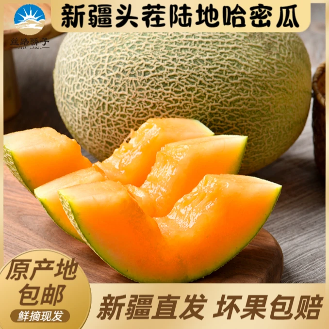 新疆正宗吐鲁番哈密瓜西州蜜25号脆甜多汁新鲜水果