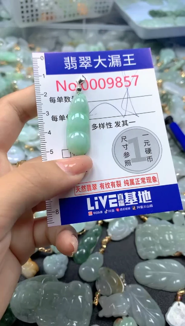 颈饰未镶嵌翡翠9857