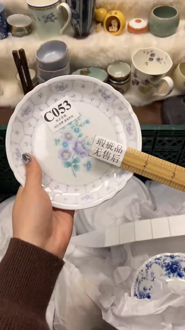 【闪购商品】瓷片          C053