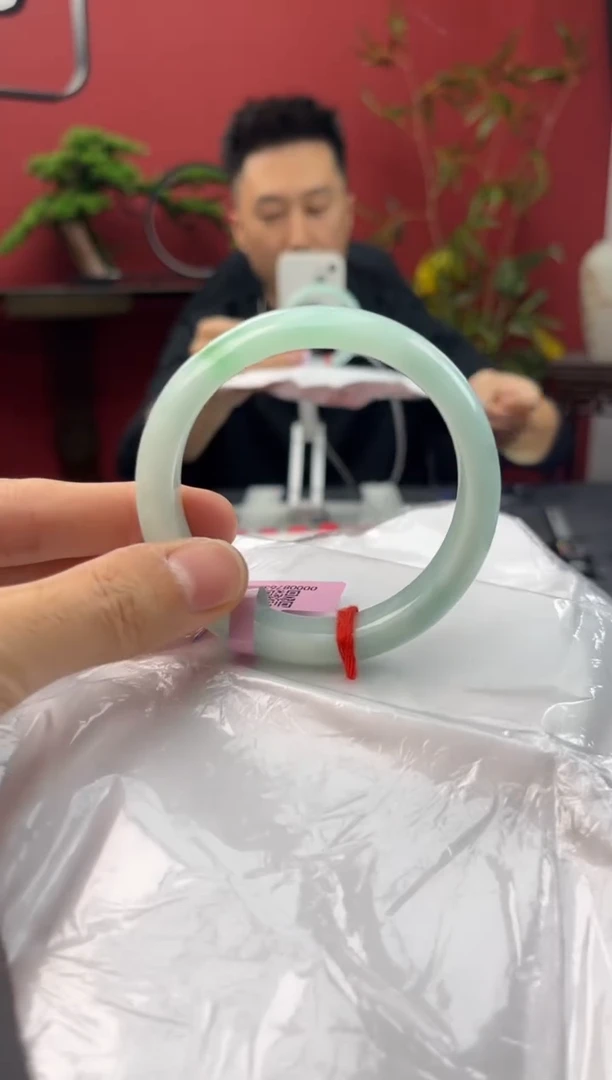 未镶嵌手镯翡翠2