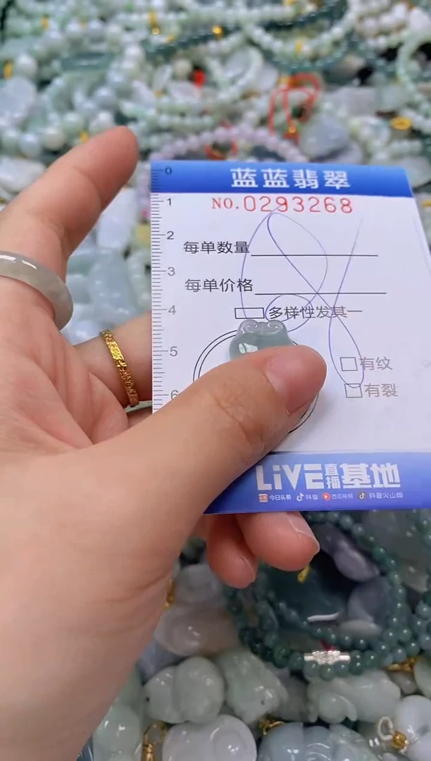 翡翠未镶嵌颈饰闪购0293268