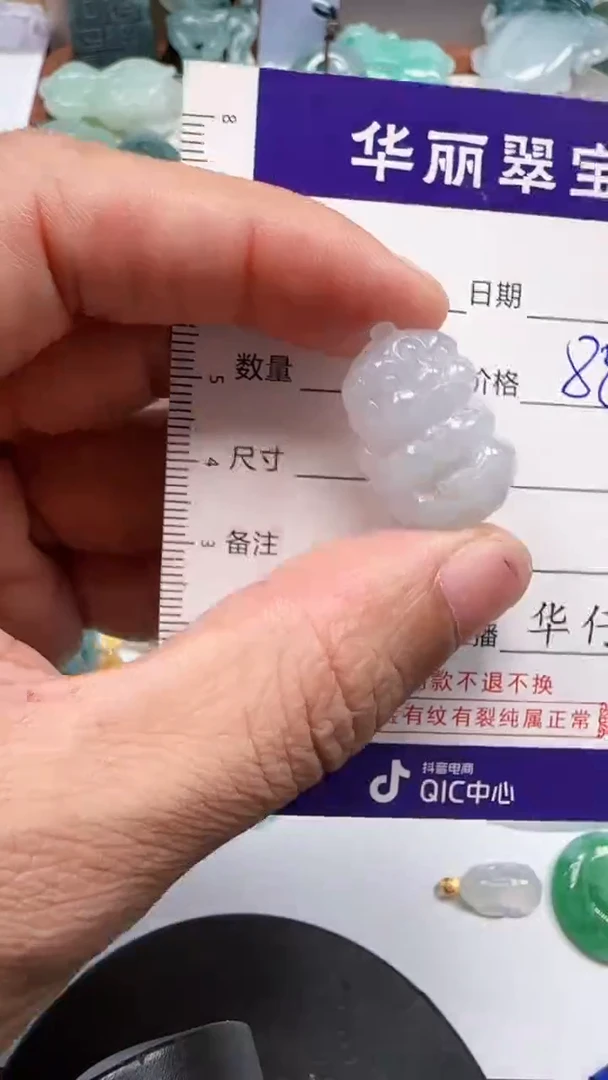 颈饰未镶嵌翡翠              26