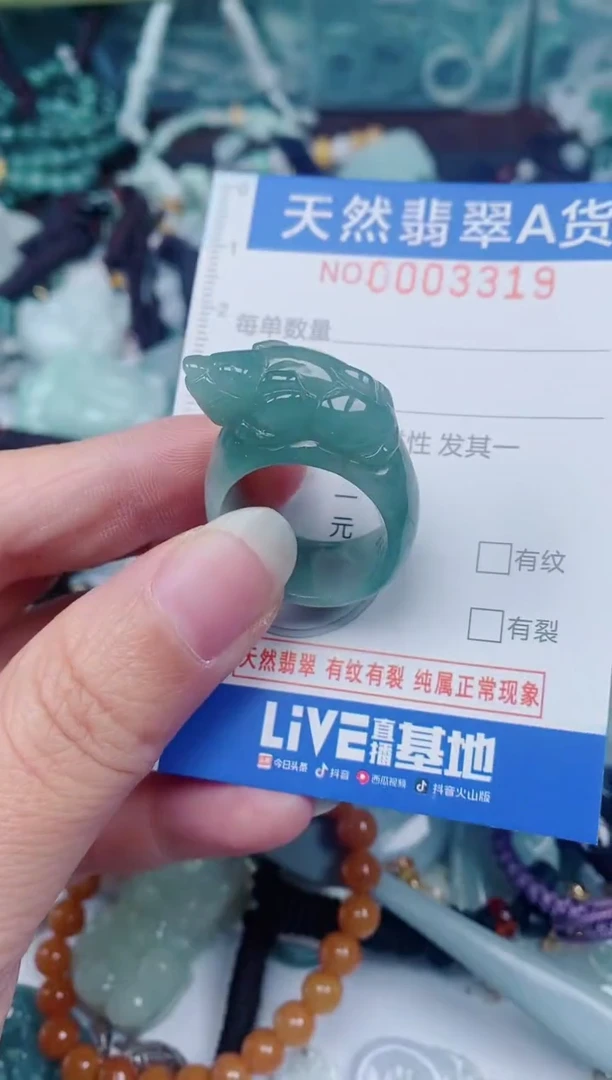 颈饰未镶嵌翡翠00003319