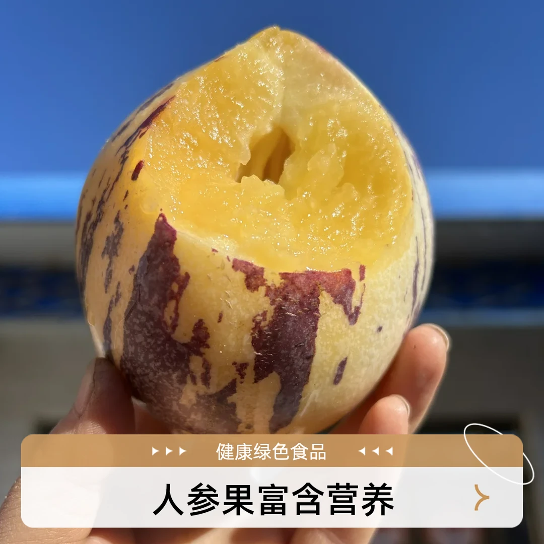 MODX【甄选】甘肃民勤沙漠人参果带箱5斤  1