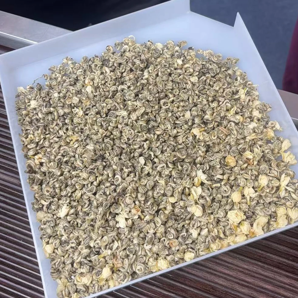 茉莉银龙玉螺 茉莉花浓香型花香浓郁耐泡茶叶