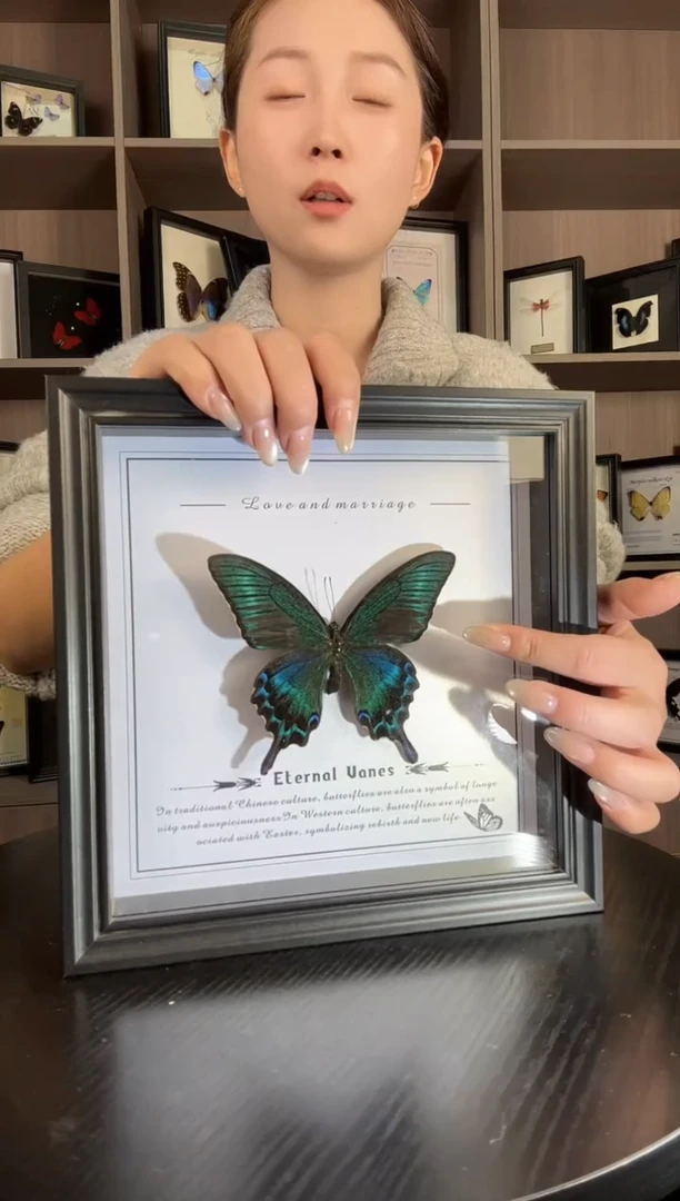 实木竖款绿带翠凤蝶（蝴蝶装饰画8寸框）